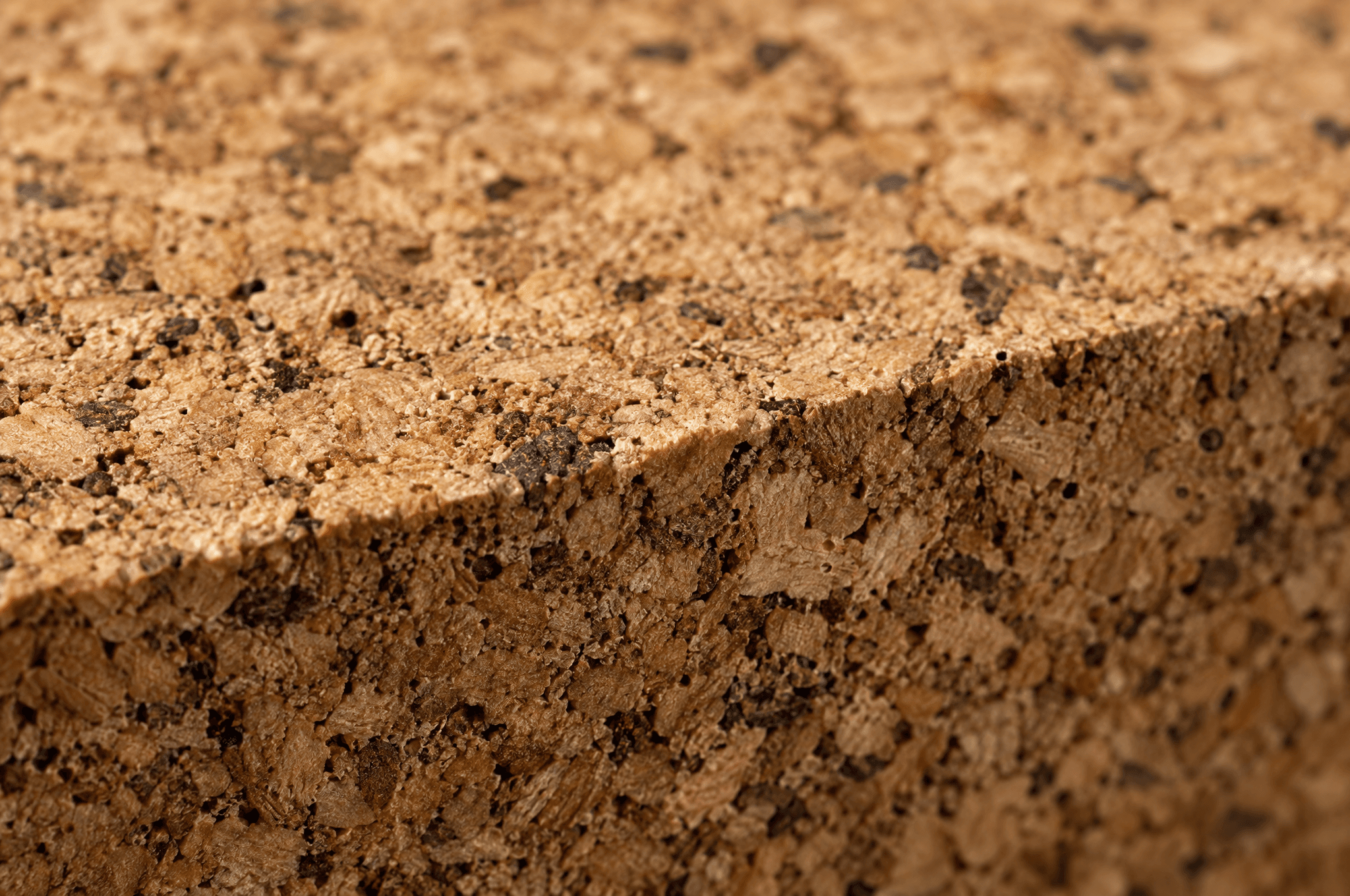 Close-up of a cork surface showing its fine grain.